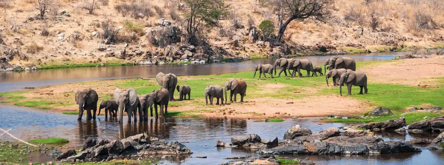  Joining Safari: Serengeti & Ngorongoro Camping
