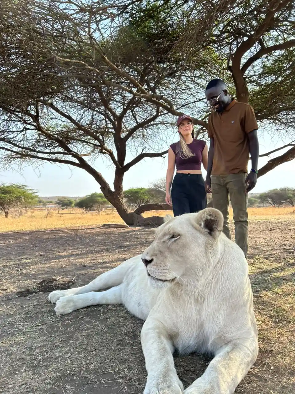  Private Serval Wildlife Sanctuary Experience