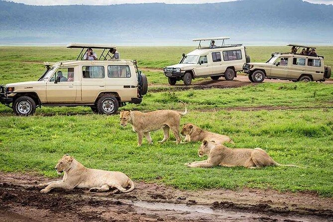 Day trip in ngorongoro crater