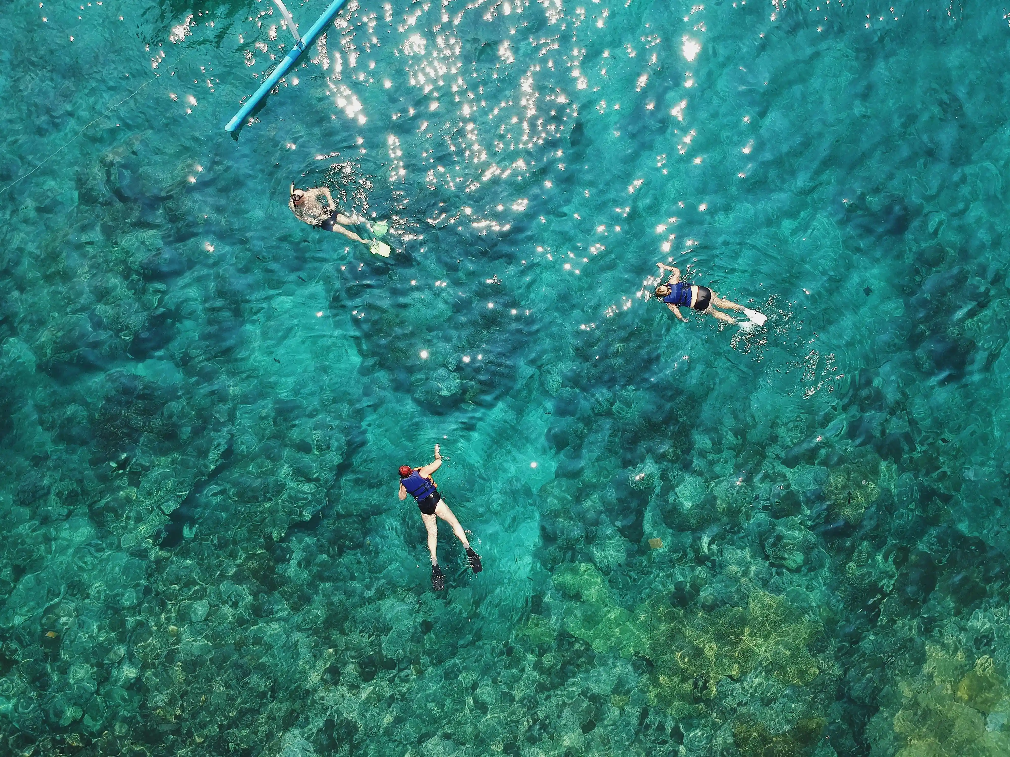full-day island adventure from Stone Town, combining the historical and natural attractions of Prison Island (Changuu Island) with the beautiful white sands and turquoise waters of Nakupenda Sandban