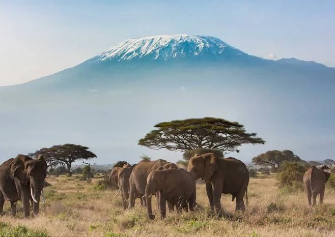 Mount Kilimanjaro National Park